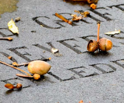 headstone